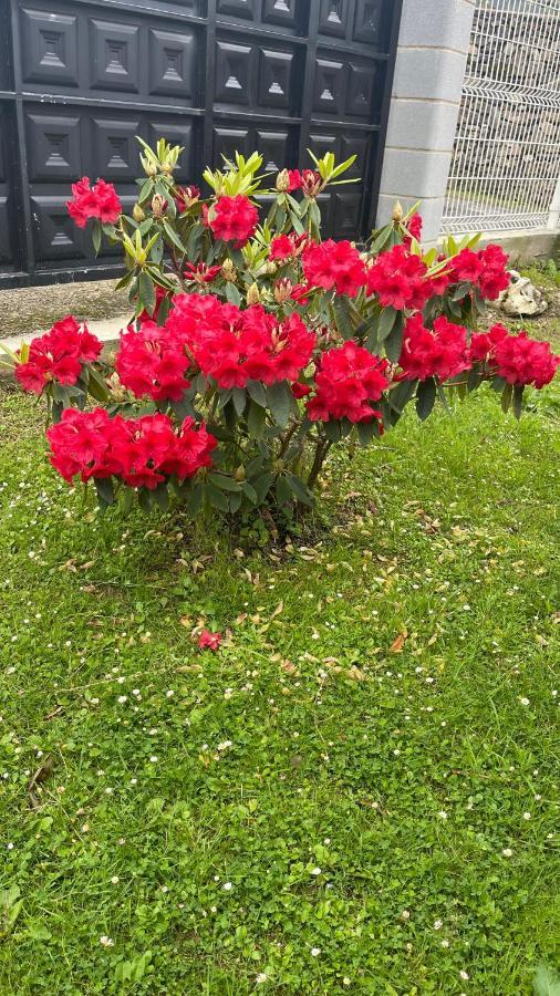 Elrosal2 Apartment กูดีเยโร ภายนอก รูปภาพ